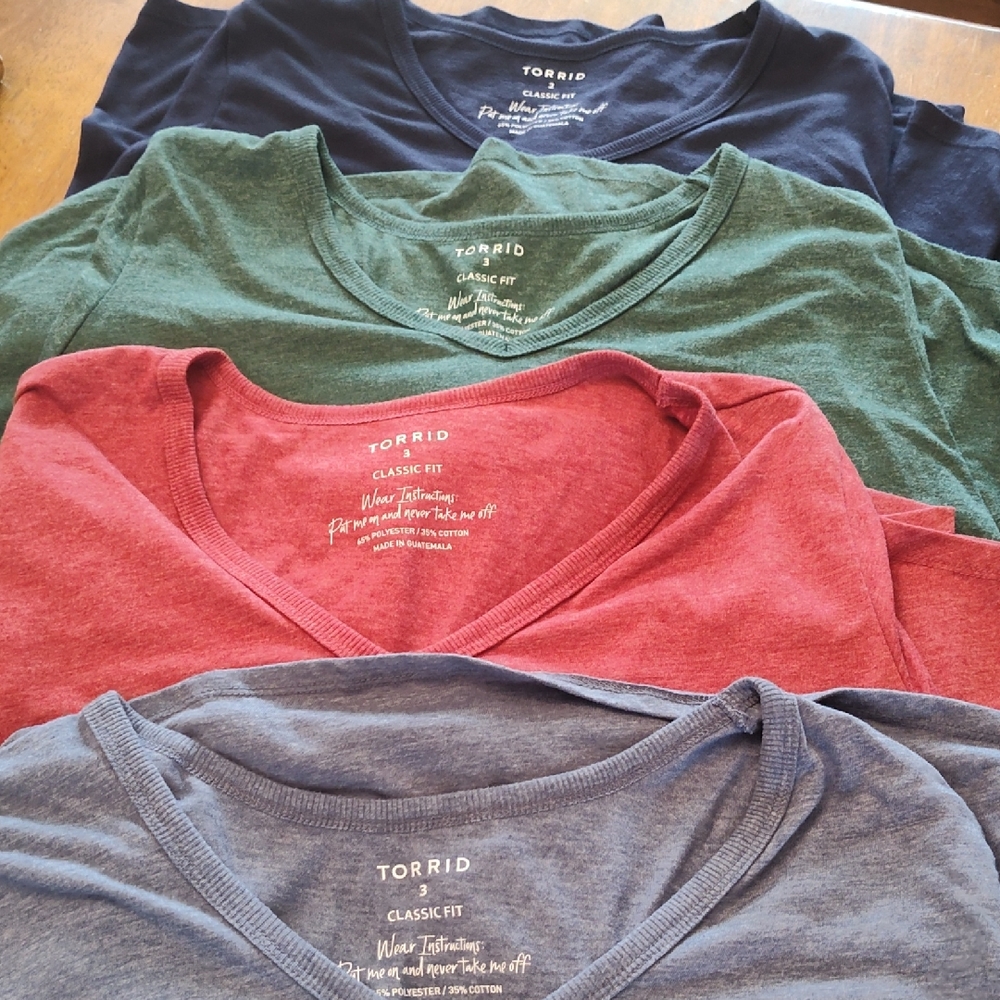 Torrid Classic Fit T-Shirts in Assorted Colors